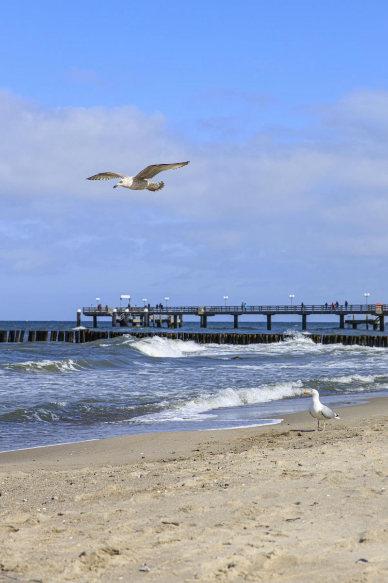Ferienwohnung Kühlungsborn Ostsee